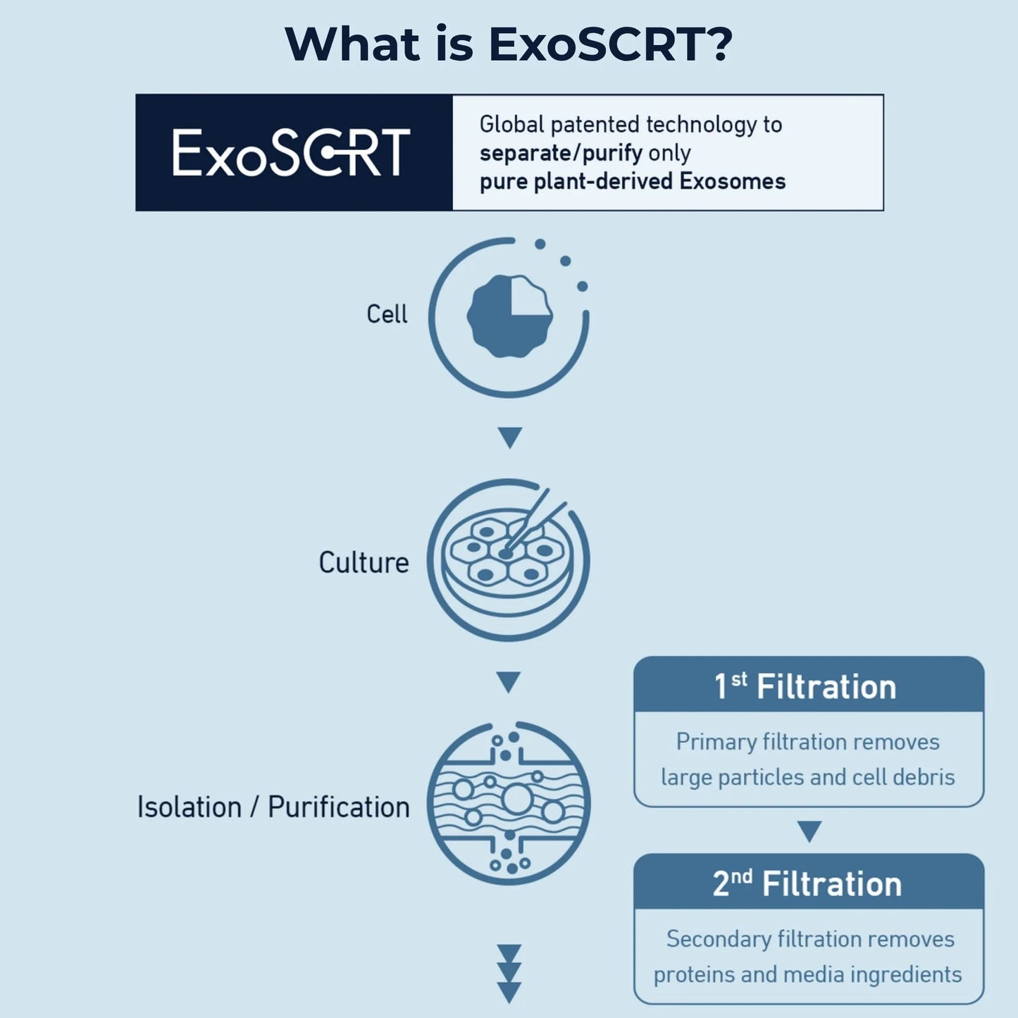 ASCE+ EXOBALM - 20mg+20ml